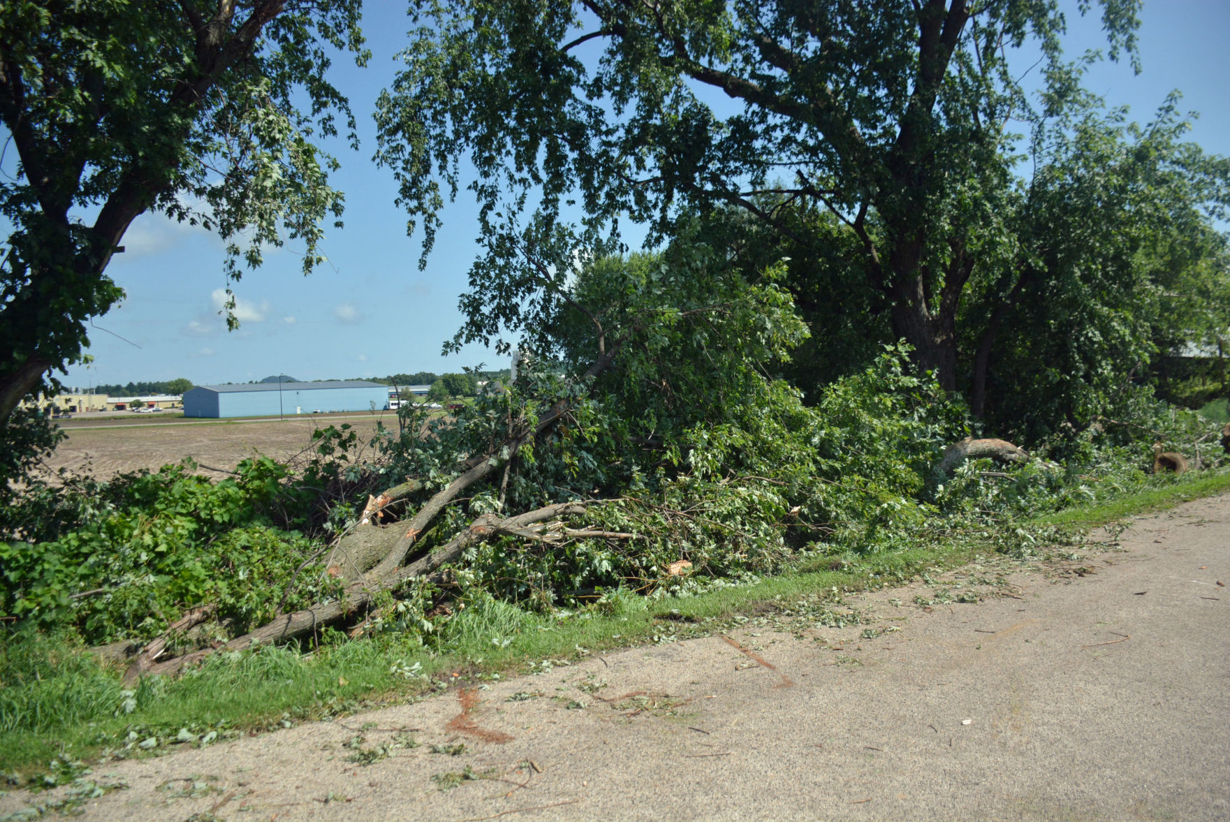 DSC_1404.jpg